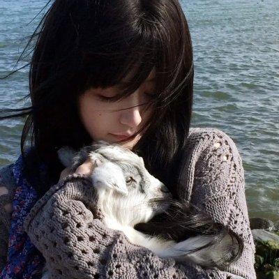 奈何寨主不好当